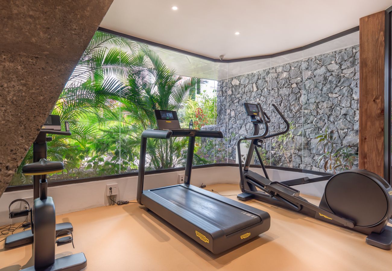 Ferienhaus in Arona - Jardines - Tisaya 1.3 NATURE RESERVE & POOL VIEW 2º