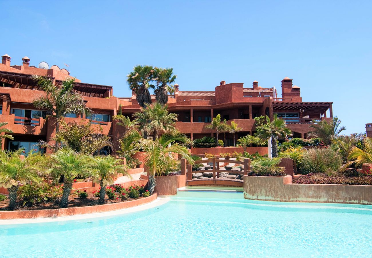 The climate controlled swimming pool and sunbathing area