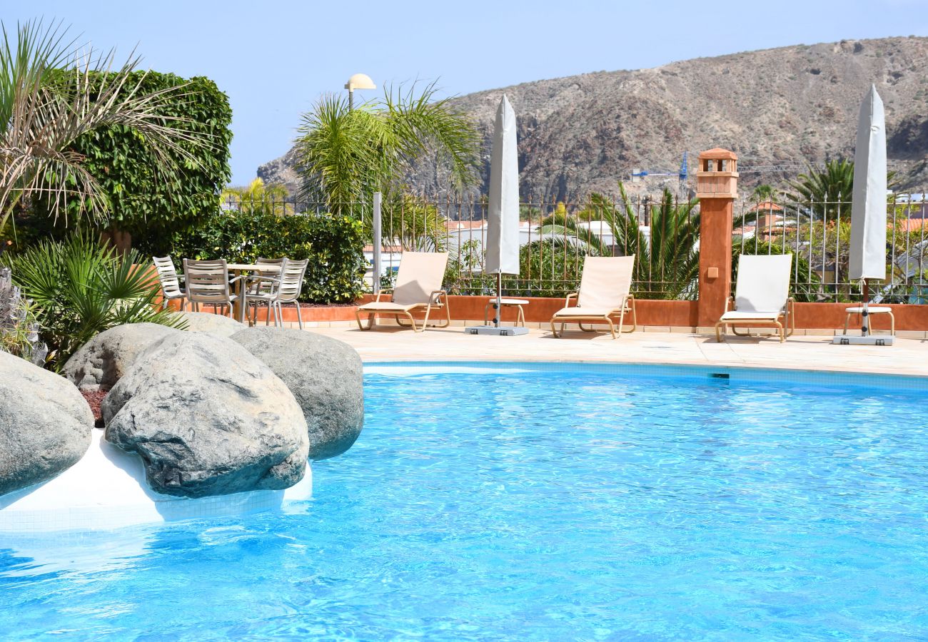 The climate controlled swimming pool sunbathing area