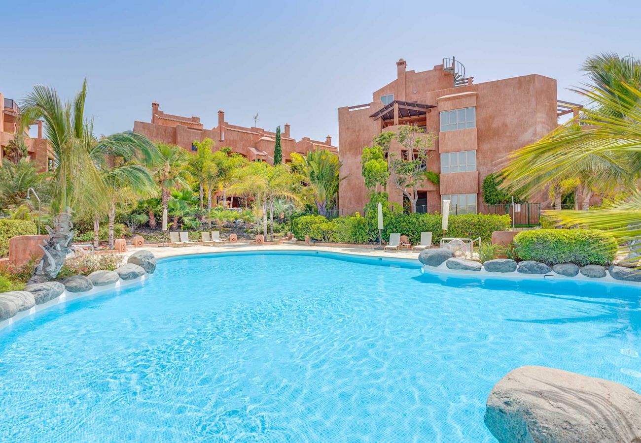 The climate controlled swimming pool sunbathing area