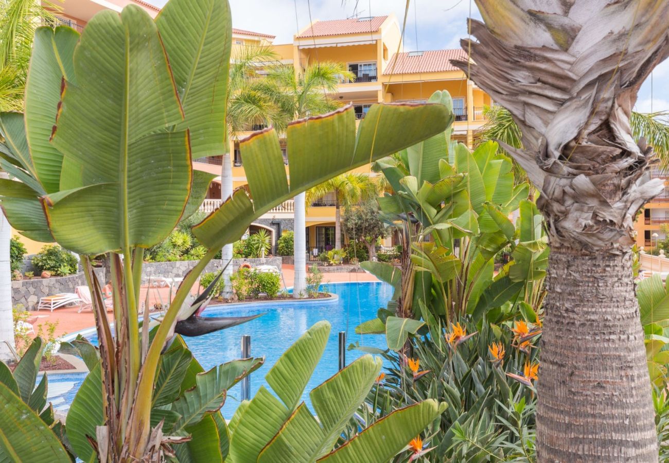 House in Arona - Laderas - FRONT SEA VIEW